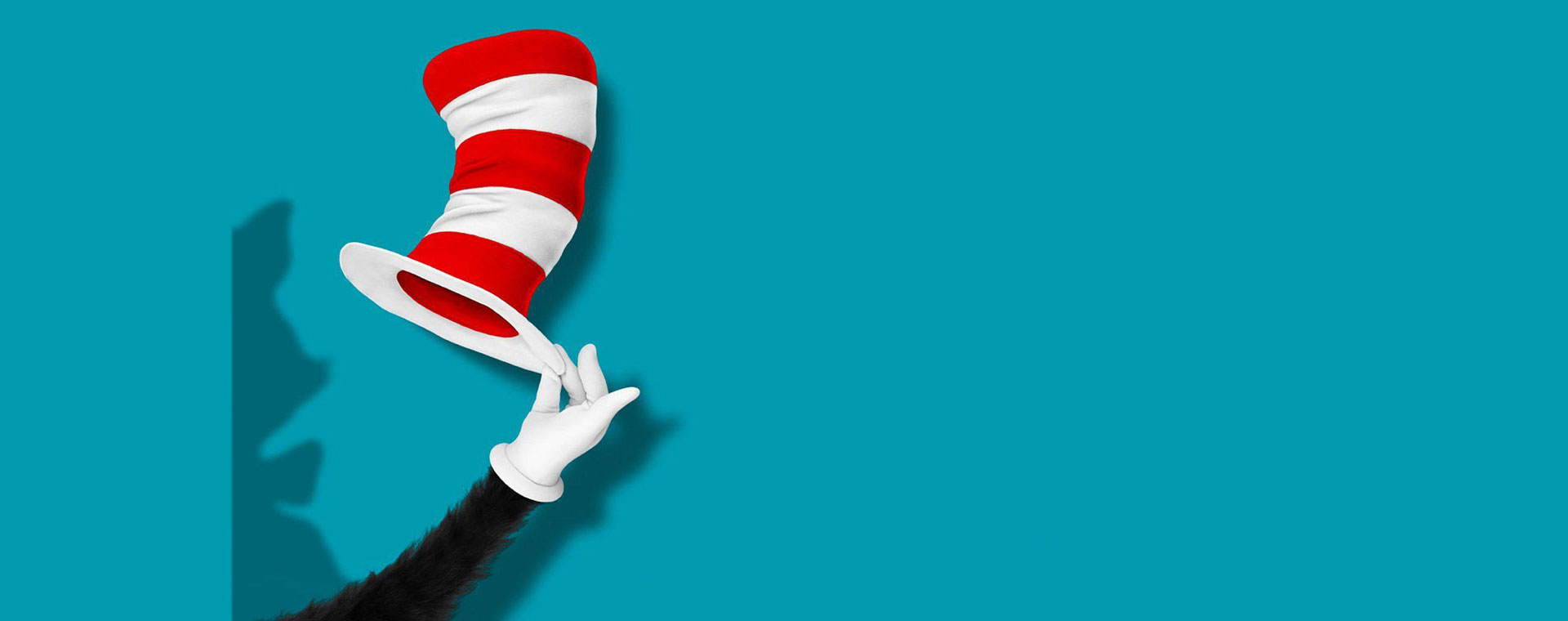 Cat in the hat for Slider